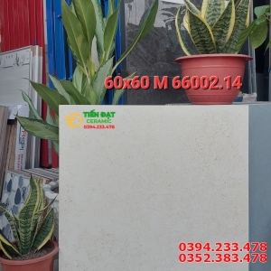 Gạch Nhập Khẩu Ấn Độ 60x60 Đá Mờ Carving