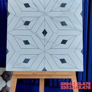 Gạch Nhập Khẩu Ấn Độ 60x60 Hoa Văn Trang Trí