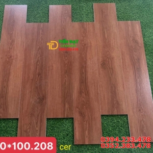 Gạch Nhập Khẩu Malaysia 20x100 Gạch Vân Gỗ Đỏ