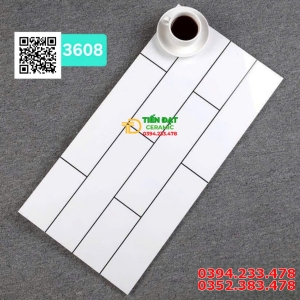 Gạch Nhập Khẩu Trung Quốc 30x60 Bóng Kính 
