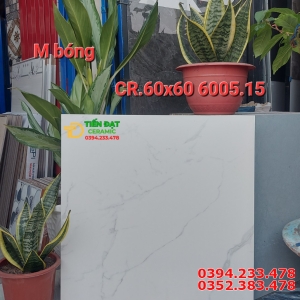 Gạch Ốp Lát 60x60 Đá Mờ Bóng Trắng Vân Khói