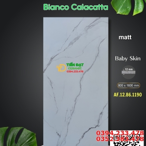 Gạch Ốp Lát 80x160 Đá Mờ Bóng Trắng Vân