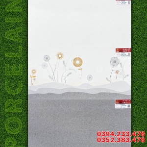 Gạch Ốp Lát Bộ Đậm Nhạt 30x60 Mẫu Mới Giá Rẻ