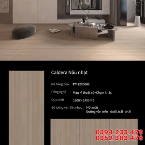 Gạch Ốp Lát Khổ Lớn TQ 120x240 Đá Mờ Nâu Nhạt