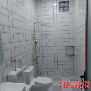 Gạch Ốp Nhà Tắm 30x60 Khắc Kim Vàng Bộ Xanh Nhạt