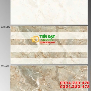 Gạch Ốp Tường 30x60 Bộ Đậm Nhạt Xả Kho Đồng Giá