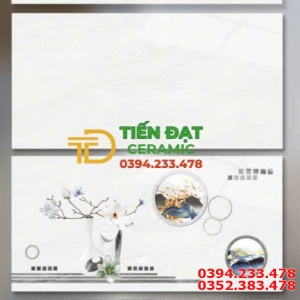 Gạch Ốp Tường 30x60 Vân Xám Đậm Nhạt Điểm Viền Đồng Giá