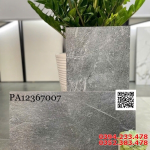 Gạch Ốp Tường Apodio 30x60 Đá Mờ Cao Cấp