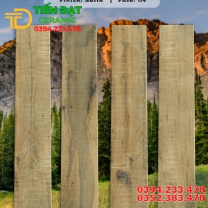 Gạch Vân Gỗ 20x100 Ốp Lát Phòng Khách Mẫu Mới Rẻ