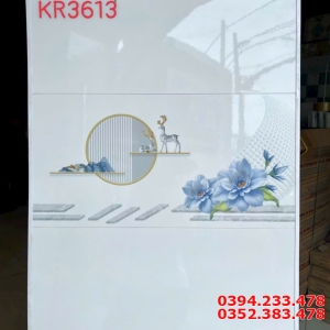 Kho Gạch Ốp Lát Hà Thanh 30x60 Trắng Bóng 