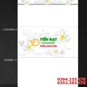 Kho Gạch Ốp Tường TTC 30x60 Tại Bình Phước