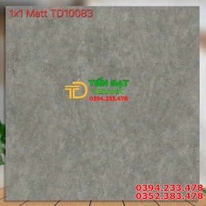 Nhà Phân Phối Gạch Ốp Lát Catalan 100x100 Đá Mờ Tại Cần Thơ