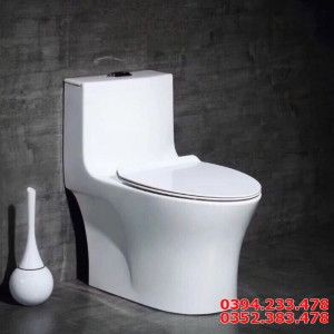 Bồn Cầu Liền Khối Cao Cấp