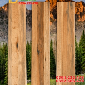Tổng Đại Lý Gạch Ấn Độ 20x100 Vân Gỗ Hiệu Ứng