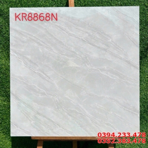 Tổng Đại Lý Gạch Lát Nền 80x80 Hà Thanh Tại Mỹ Tho