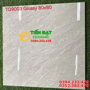 Tổng Đại Lý Gạch Nhập Khẩu 80x80 Trung Quốc Tại Miền Nam