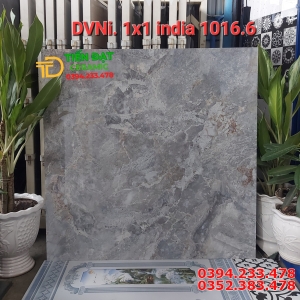 Tổng Kho Gạch Ấn Độ 100x100 Ốp Lát Tại HCM