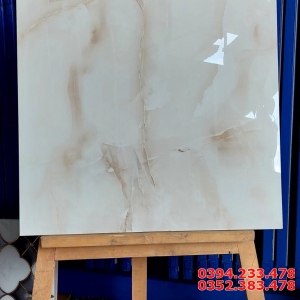 Tổng Kho Gạch Ấn Độ Tại HCM 60x60 Mẫu Mới