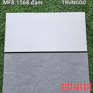 Tổng Kho Gạch Đá 30x60 Ốp Lát Trung Đô Tại Miền Nam