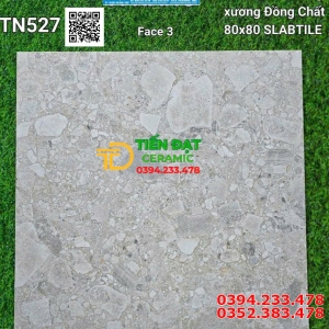 Tổng Kho Gạch Đá Mờ Trung Đô 80x80 Tại Miền Nam