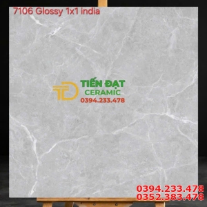 Tổng Kho Gạch Giả Đá 100x100 Ấn Độ Tại Miền Nam 