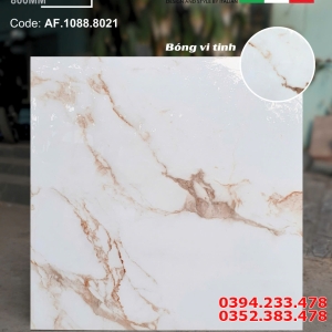 Tổng Kho Gạch Lát Nền 80x80 Apodio Tại Miền Nam