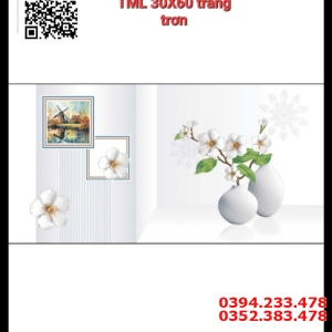 Tổng Kho Gạch Ốp Lát TML 30x60 Trắng Trơn Giá Rẻ