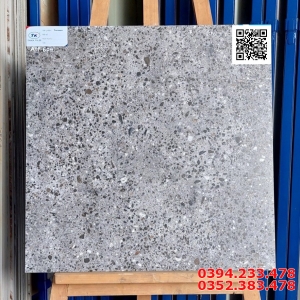 Tổng Kho Gạch Ốp Lát Viglacera 60x60 Đá Mờ 