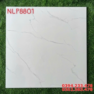 Tổng Kho Phân Phối Gạch Ốp Lát Hà Thanh Tại Đồng Tháp