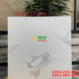 Top 656 Mẫu Gạch 100x100 Trắng Vân Vi Tinh Giá Rẻ