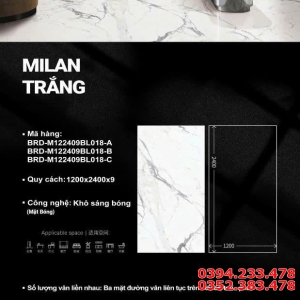 Top 89 Mẫu Gạch Bản To 120x240 Trắng Vân Xám Lát Nền