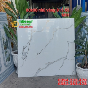 Top 99 Mẫu Gạch Nhũ Vàng 80x80 Trắng Khắc Kim