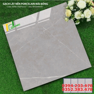 Gạch Lát Nền 60x60 Cao cấp HCM
