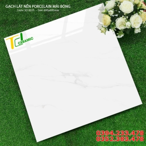 Gạch Lát Nền 60x60 Tắng Vân Khói