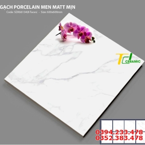 Gạch 60x60 Bóng Kính Trắng Vân 