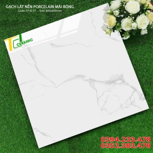 Gạch Vi Tinh Cao cấp 60x60 Lát Nền 