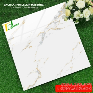 Gạch Cao Cấp 60x60 Trắng Vân Vàng