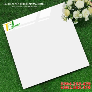 Đá Bóng Vi Tinh 60x60 Trắng Trơn