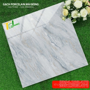 Gạch Ốp Lát 60x60 Bóng Kiếng 