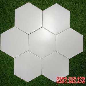 Gạch lục giác màu trắng