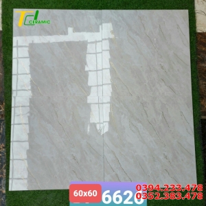 Tổng Kho Gạch TQ 60x60 Nhũ Vàng