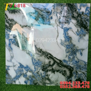 Gạch Nhập Khẩu 80x80 Ốp Lát Nhũ Vàng