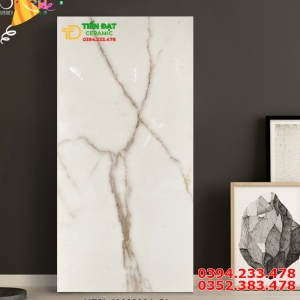 Gạch Nhập Khẩu Ấn Độ 60x120 Mẫu Mới