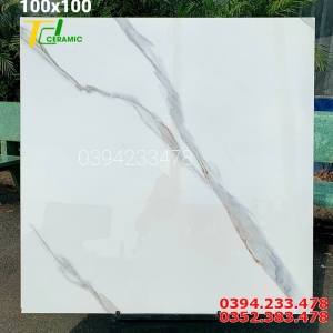 Gạch Lát Nền 100x100 CMC Cao Cấp