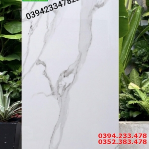 Đại Lý Gạch Ốp Lát Ấn Độ 80x160 Mỹ Tho