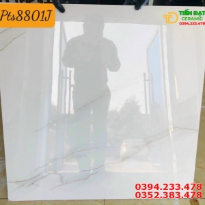 Tổng Kho Gạch TQ 80x80 Nhũ Vàng Mẫu Mới