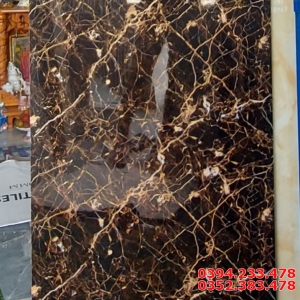 Tổng Kho Gạch TQ 60x120 Hình Vũ Trụ Nhũ vàng