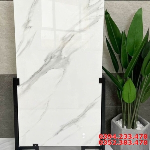 Tóp 50 Mẫu Gạch Ấn Độ 60x120 Bán Chạy Nhất 