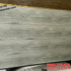 Gạch Đá Mờ 20x100 Vân Xám Lát Phòng Khách Đẹp