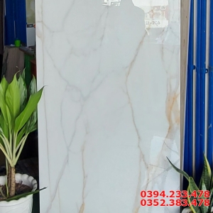 Đại Lý Gạch Nhập Khẩu Ấn Độ 80x160 Trắng Vân Vàng